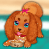Cute Puppy Care